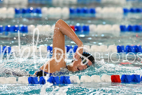 DSC_2325-1_edited-1