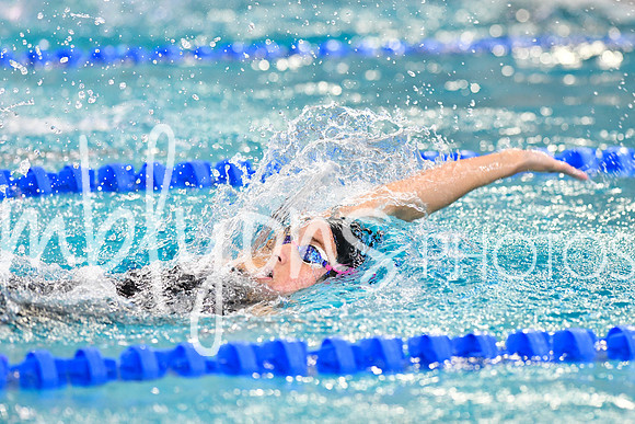 DSC_2231_edited-1