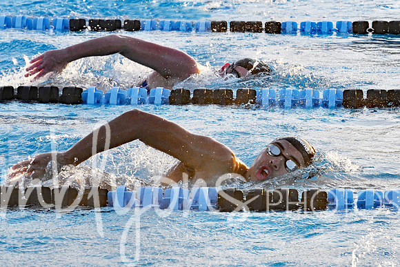DSC_6070-1_edited-1