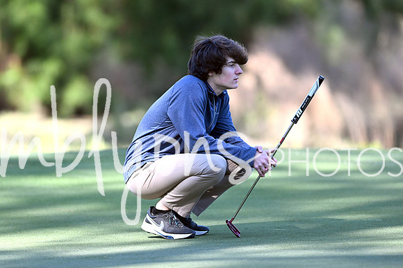 DSC_5387-1_edited-1