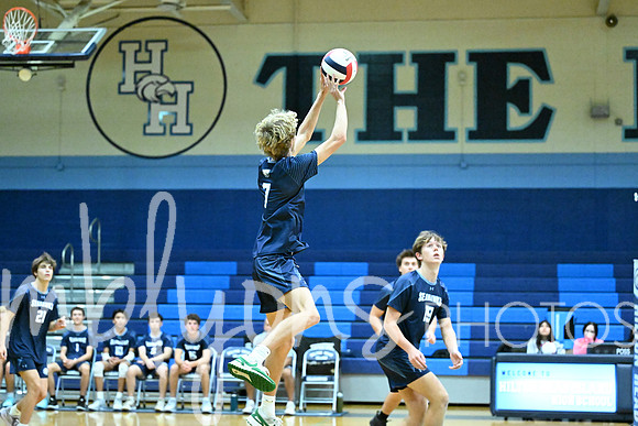 DSC_2633-1_edited-1