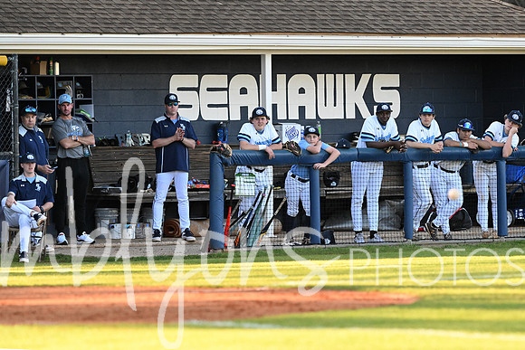 DSC_5135-1_edited-1