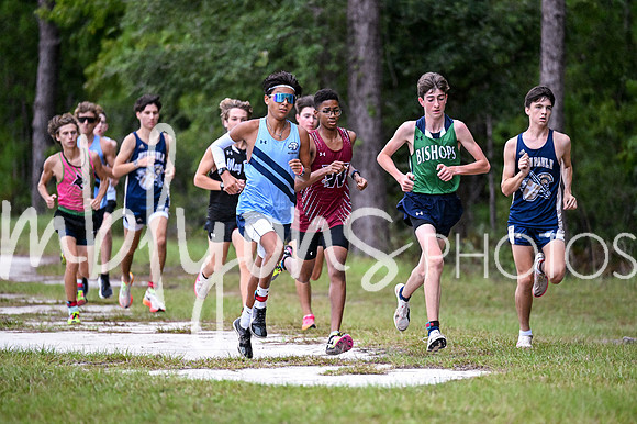 DSC_9737_edited-1