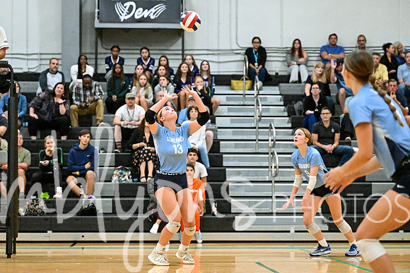DSC_0729_edited-12