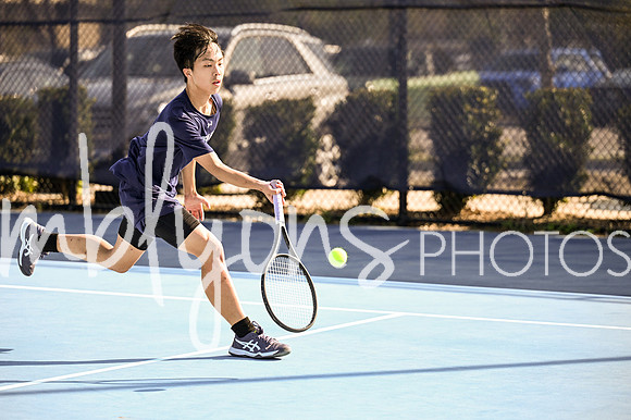 DSC_6513_edited-1