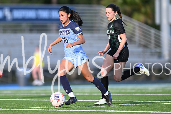 DSC_0872-1_edited-1
