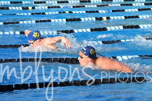 DSC_5325-1_edited-1