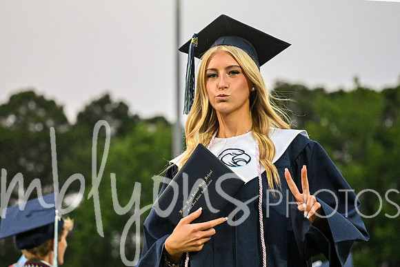 DSC_7336-1_edited-1