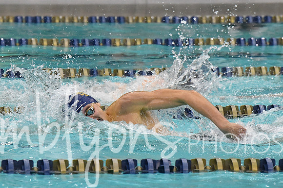 DSC_1908-1_edited-1