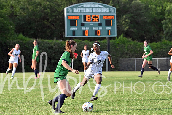 DSC_6388-1_edited-1