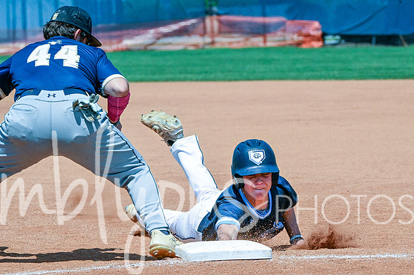 DSC_2893_edited-1