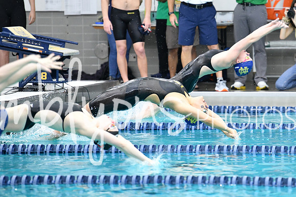 DSC_4069_edited-1