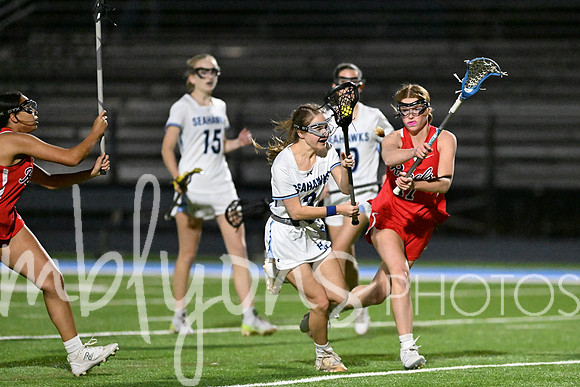 DSC_2741_edited-1