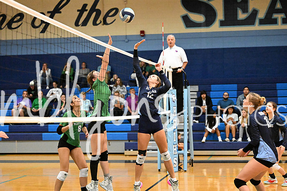 DSC_9672_edited-1
