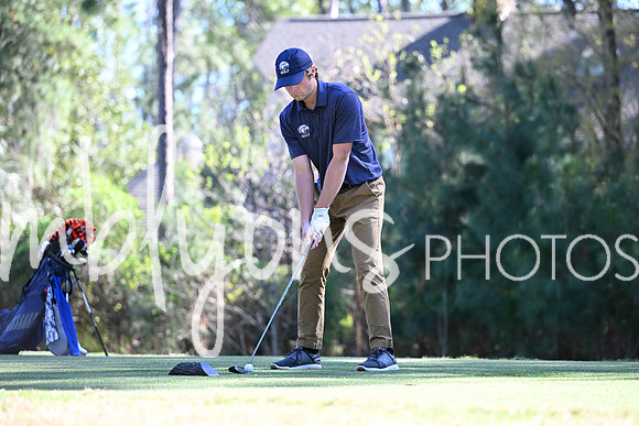 DSC_5825-1_edited-1