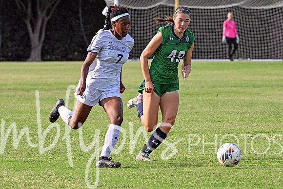 DSC_6271-1_edited-1