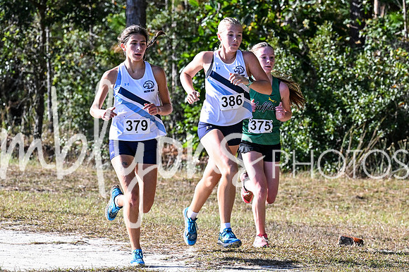 DSC_7234_edited-1
