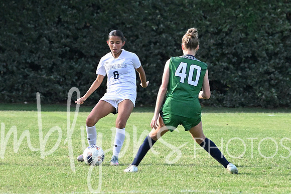DSC_6297-1_edited-1