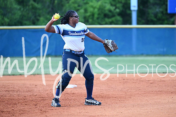 DSC_9521-1_edited-1
