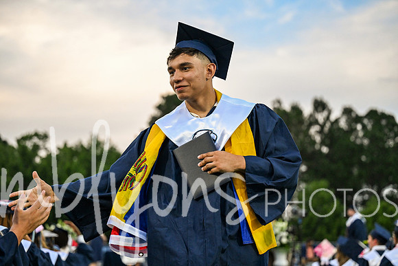 DSC_2498_edited-1