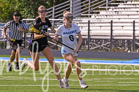 DSC_4651-1_edited-1