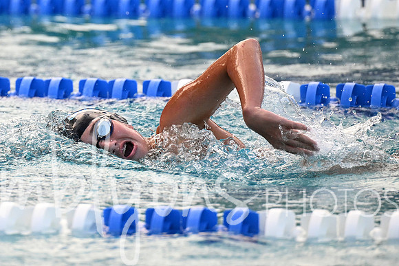 DSC_1739-1_edited-1