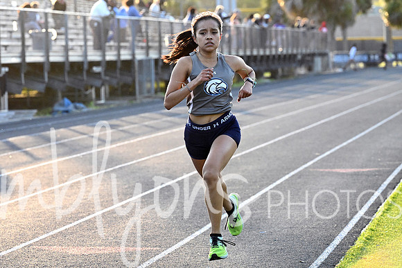 DSC_3410-1_edited-1