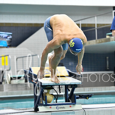 DSC_2328_edited-1
