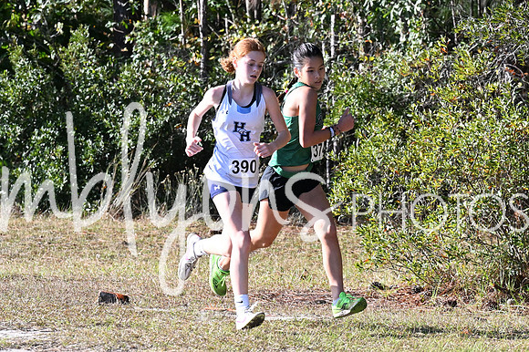 DSC_7252_edited-1