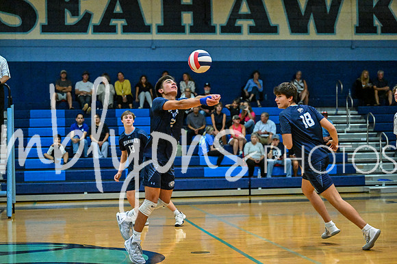 DSC_4111-1_edited-1