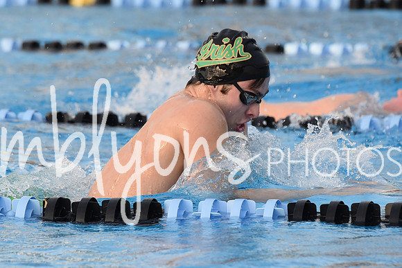 DSC_0047_edited-1