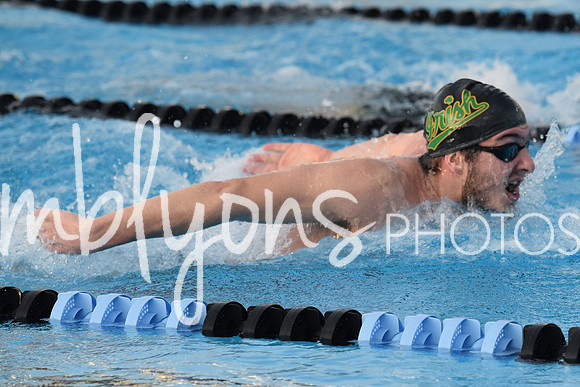 DSC_0078_edited-1