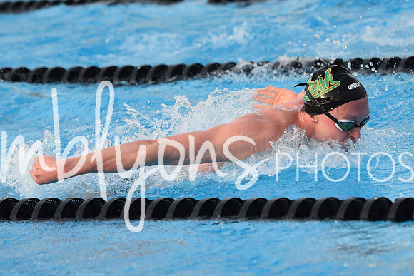 DSC_0083_edited-1