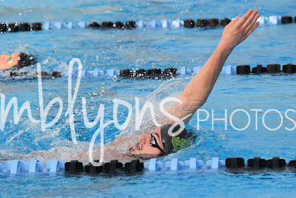 DSC_0101_edited-1