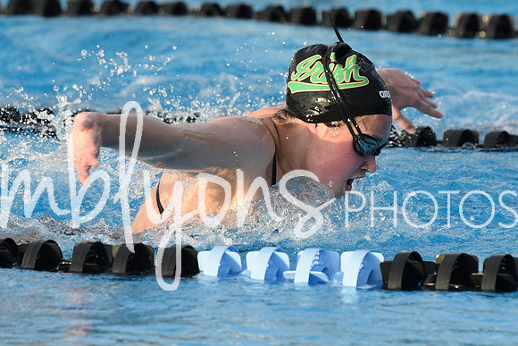DSC_0233_edited-1