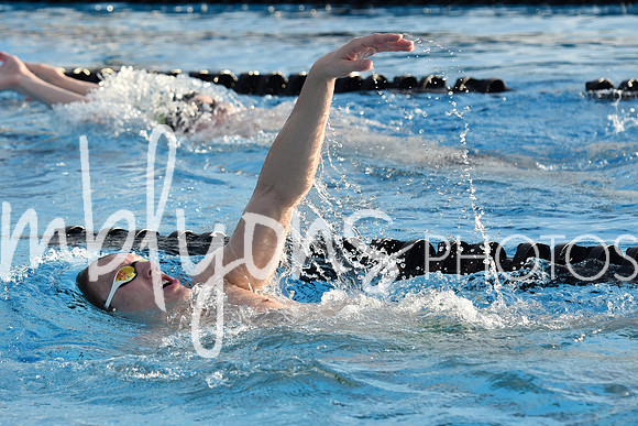 DSC_0253_edited-1