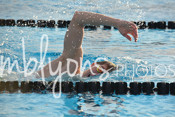 DSC_0263_edited-1