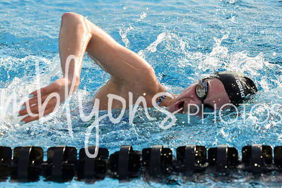 DSC_0264_edited-1