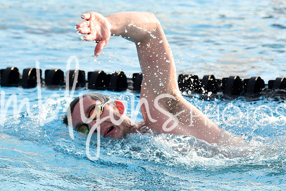 DSC_0269_edited-1