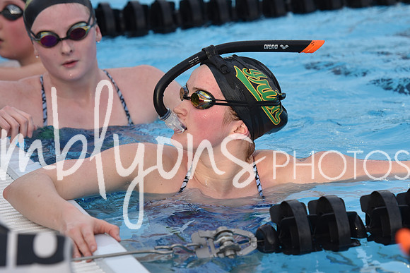 DSC_0333_edited-1