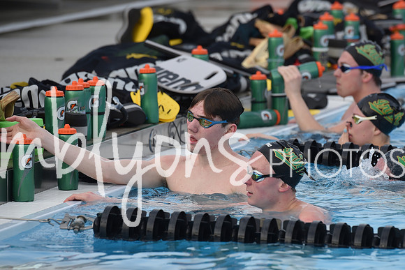 DSC_0338_edited-1