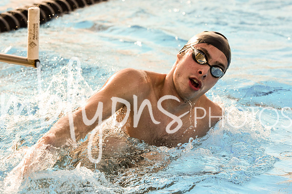 DSC_0347_edited-1