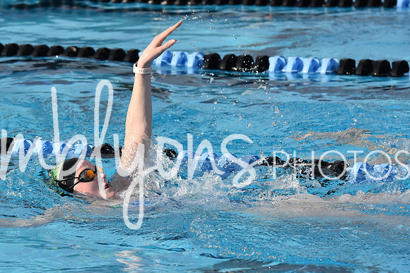 DSC_0433_edited-1