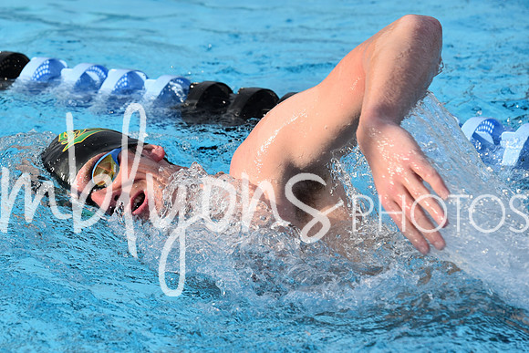 DSC_0437_edited-1