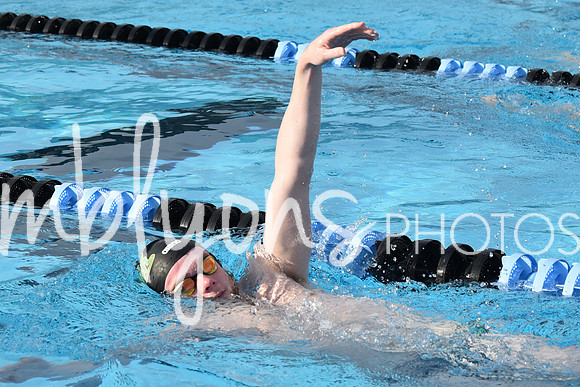 DSC_0441_edited-1