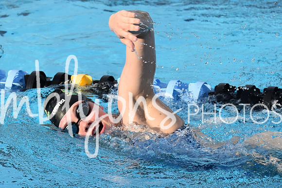 DSC_0443_edited-1