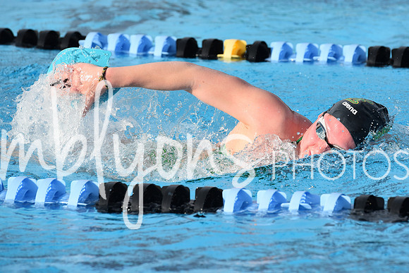 DSC_0456_edited-1