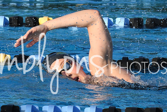 DSC_0733_edited-1