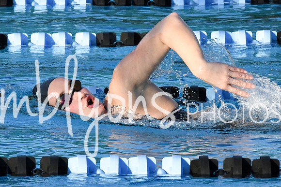 DSC_0732_edited-1