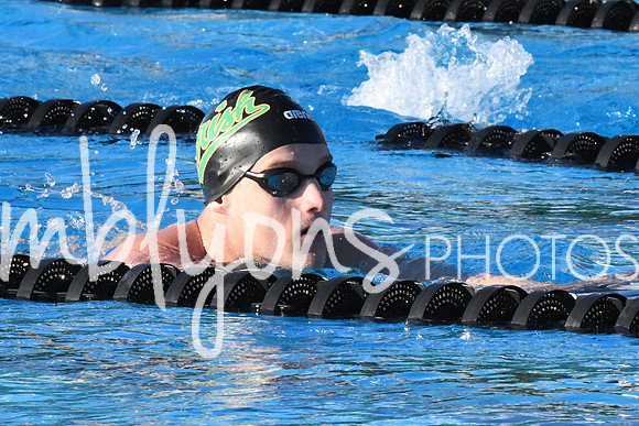 DSC_0771_edited-1
